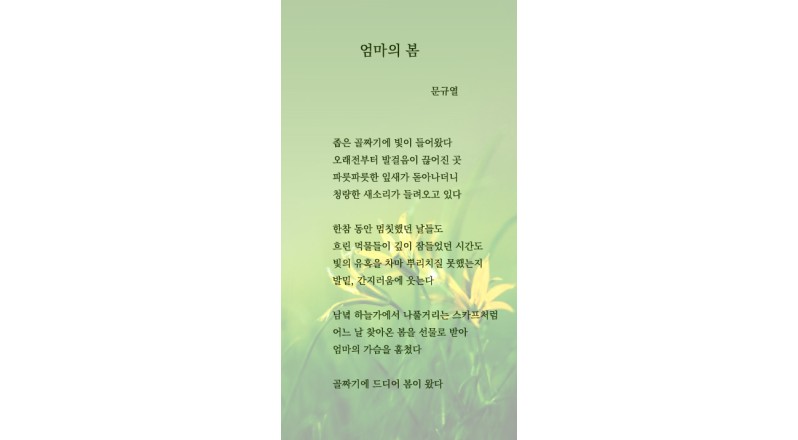 글이 있는 또 하루 - 문규열   '엄마의 봄'